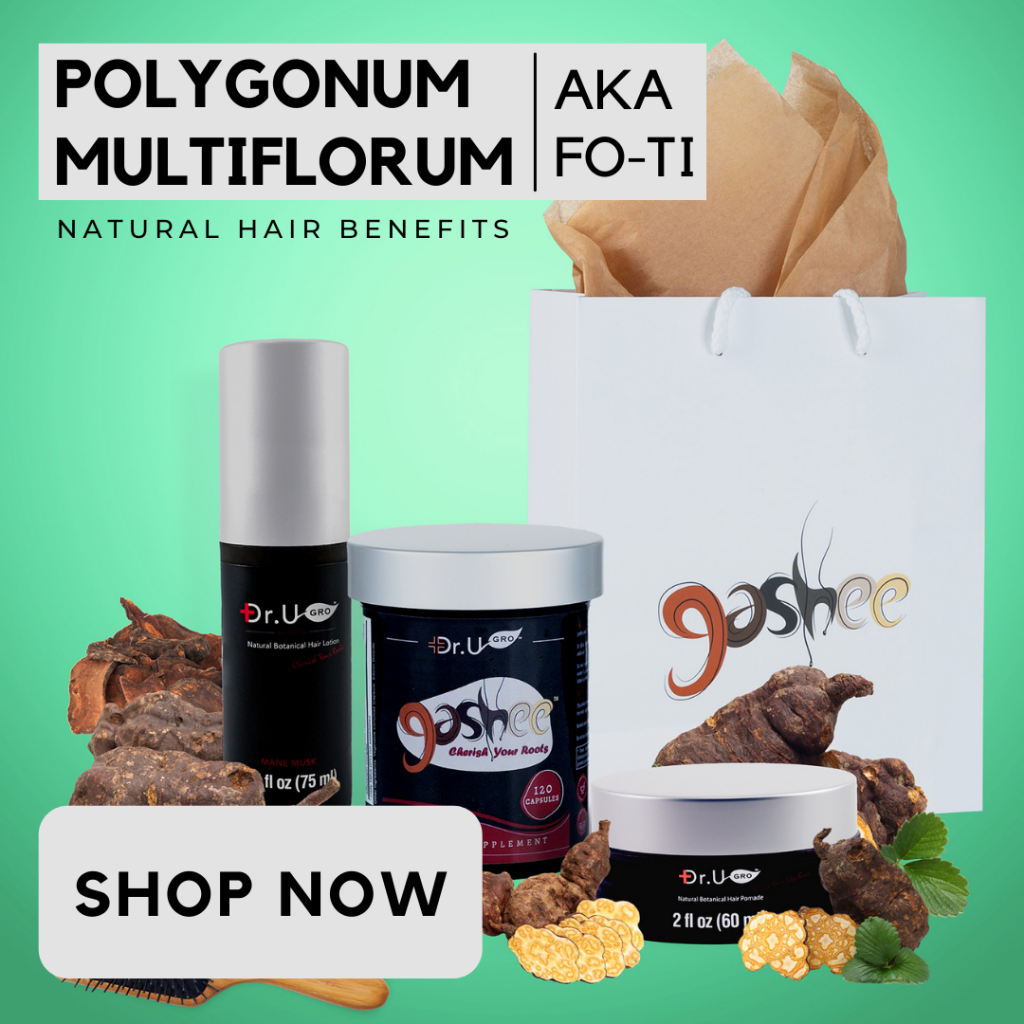 Polygonum Multiflorum, also known as fo-ti, is an ingredient in all Gashee hair products.