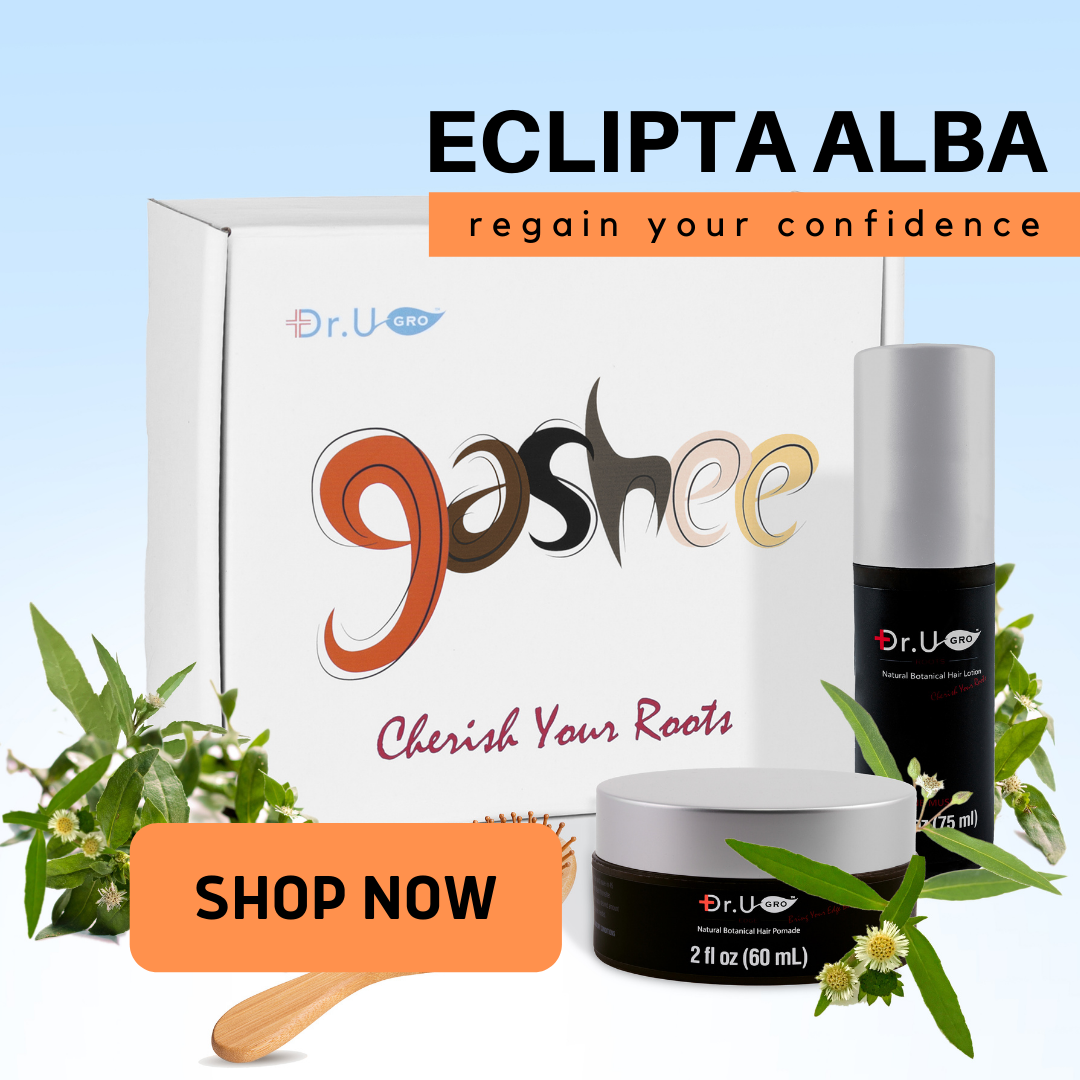 Eclipta Alba is infused in Gashee Botanical Hair Lotion and Pomade.