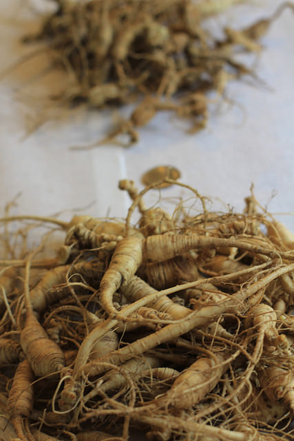 Both human and mouse hair follicles saw red ginseng hair benefits in some studies (1, 5, 7)