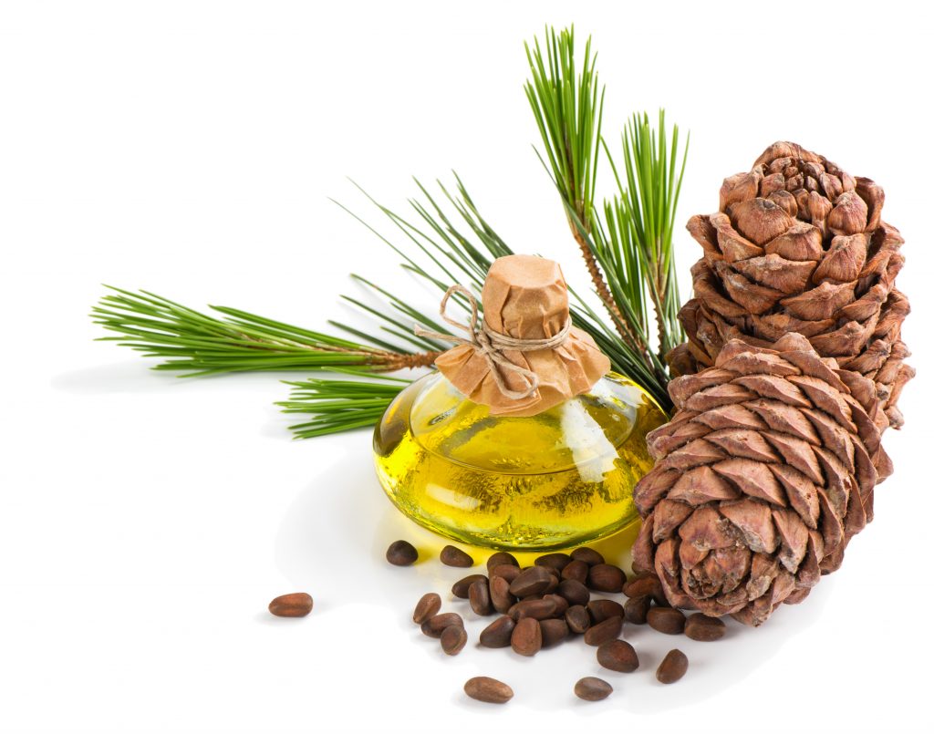 Pine oil or Tall oil which is derived from the seeds, acorns, branches of pine trees is being researched for its possible beneficial effects on hair growth