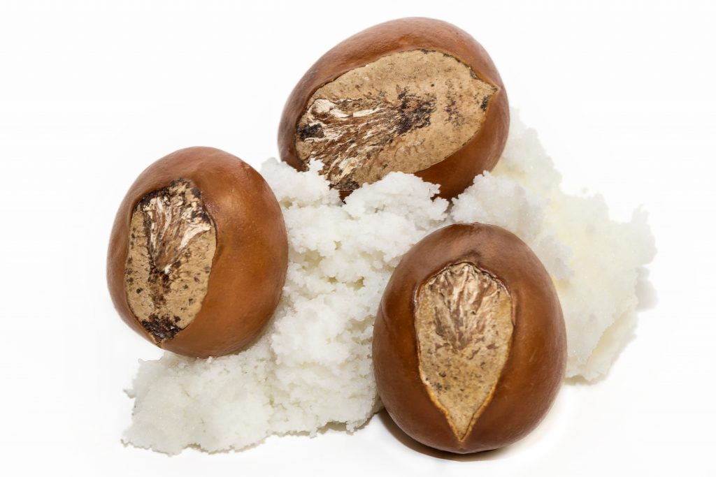 Shea butter is extracted from the nut of the Shea “karite” tree (Vitellaria paradoxa)