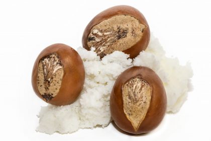 Shea butter is extracted from the nut of the Shea “karite” tree (Vitellaria paradoxa) Shea butter is extracted from the nut of the Shea “karite” tree (Vitellaria paradoxa)