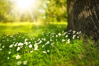 Genuine Natural Products Abide By High Standards Set Forth by the NPA Genuine Natural Products Abide By High Standards Set Forth by the NPA