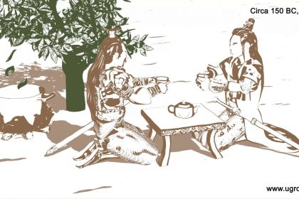 Gashee Hair Wellness: How The The Ancient Chinese Unlocked The Secret Science of Green Tea thumbnail green tea for hair health