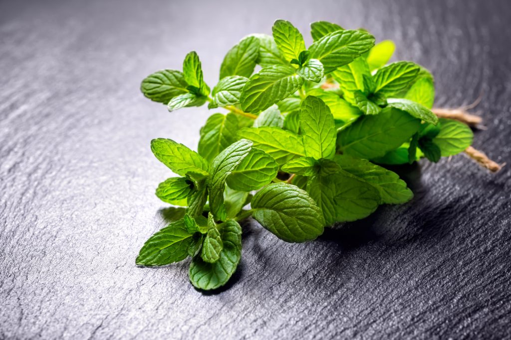 a whiff of peppermint oil every two hours for five days straight. By the study’s end, the subjects claimed feeling drastically lower levels of hunger.