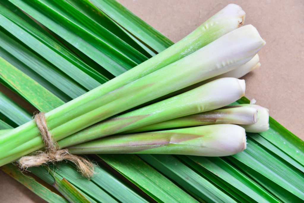 the aroma of lemongrass can potentially alleviate anxiety and insomnia