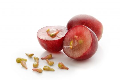 Grape seeds are a rich and abundant source of antioxidants Grape seeds are a rich and abundant source of antioxidants