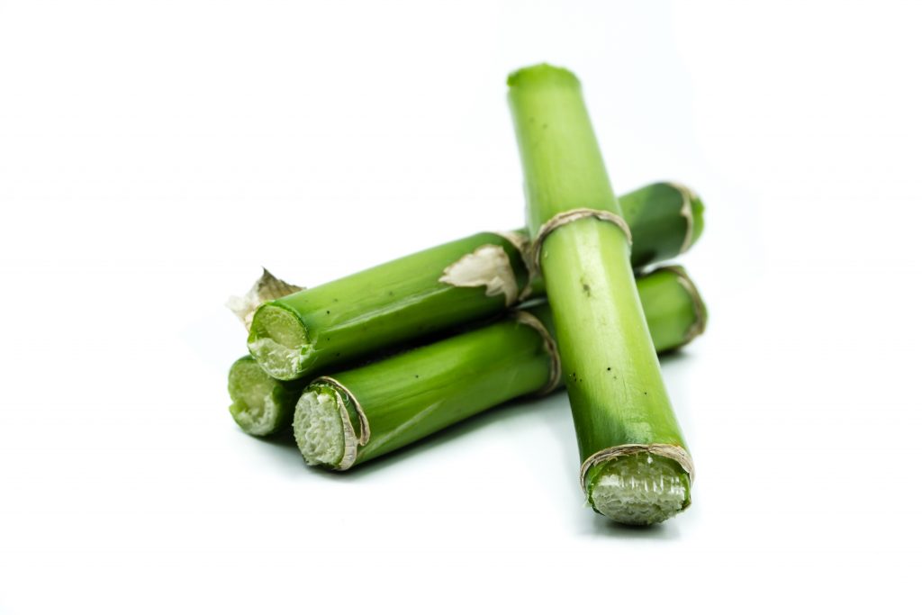 Scientists have studied the effect of silica which bamboo contains, on the quality of hair.