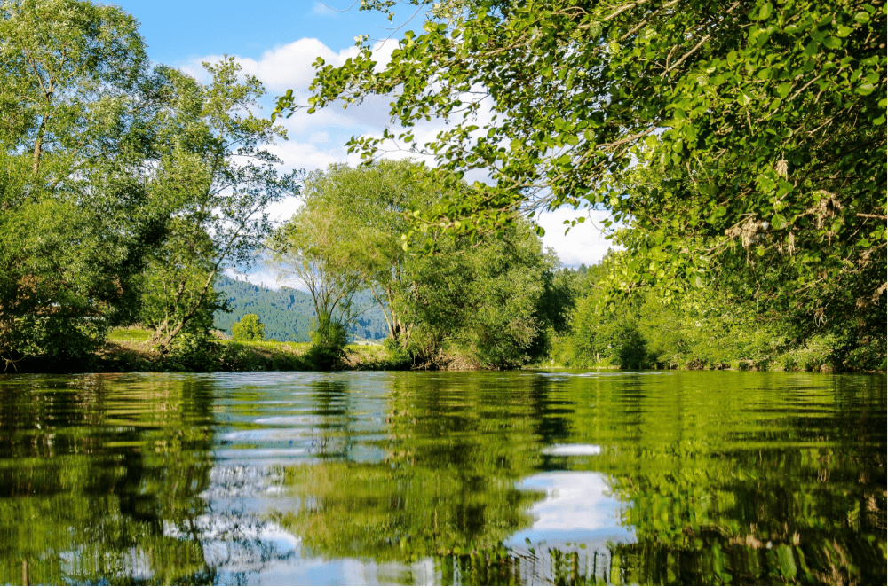 Ethically Sourced Collagen and the Environment