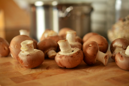 Mushrooms Are A Great Source of Vitamin D Mushrooms Are A Great Source of Vitamin D