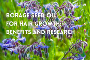 Borage seed oil benefits for hair growth and health - Dr. UGro Gashee