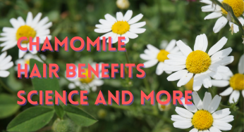 Chamomile for Hair Growth, Hair Health: Benefits, Studies & More