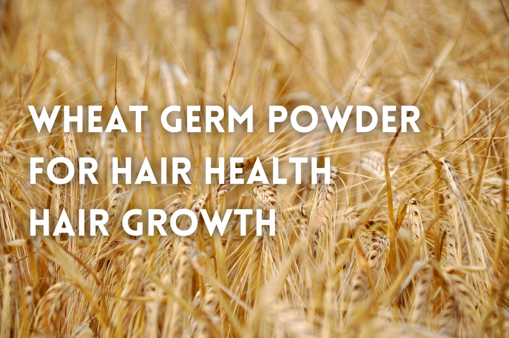 Wheat germ powder is a great source ingredient for hair health and hair growth. See what modern medicine and science has to say on wheat germ powder's hair benefits.